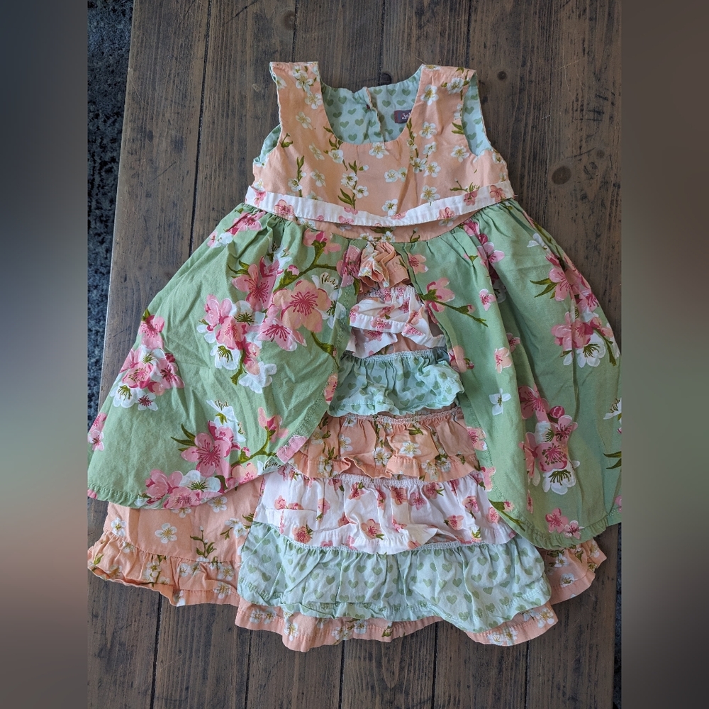 Jelly the Pug dress 4t girls